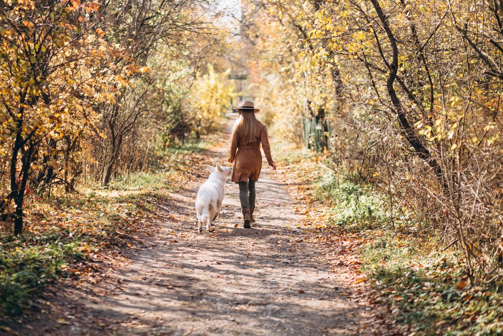vrouw in bos met hond los