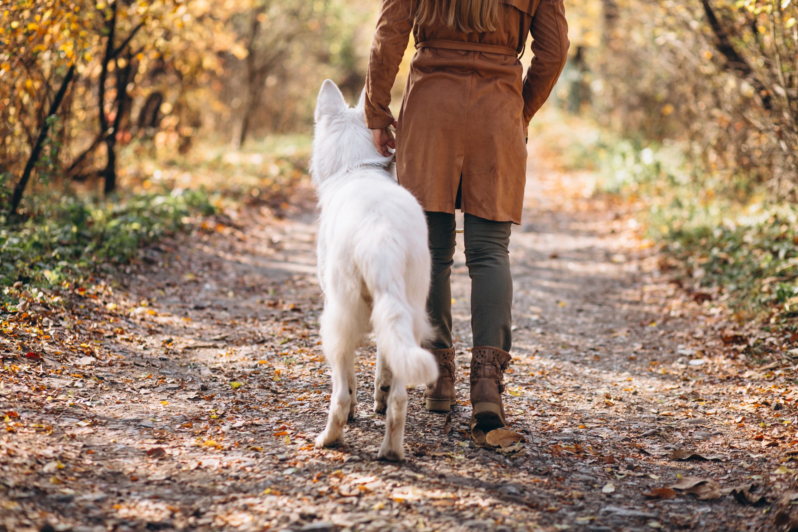 vrouw met hond strak aangelijnd